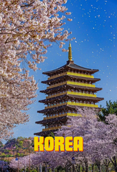 korea korea